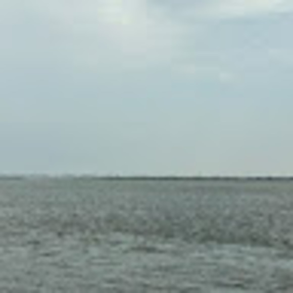 Meet your Posher, Amy - Picture 1 of 1